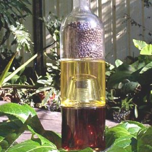 Stackable Bottle